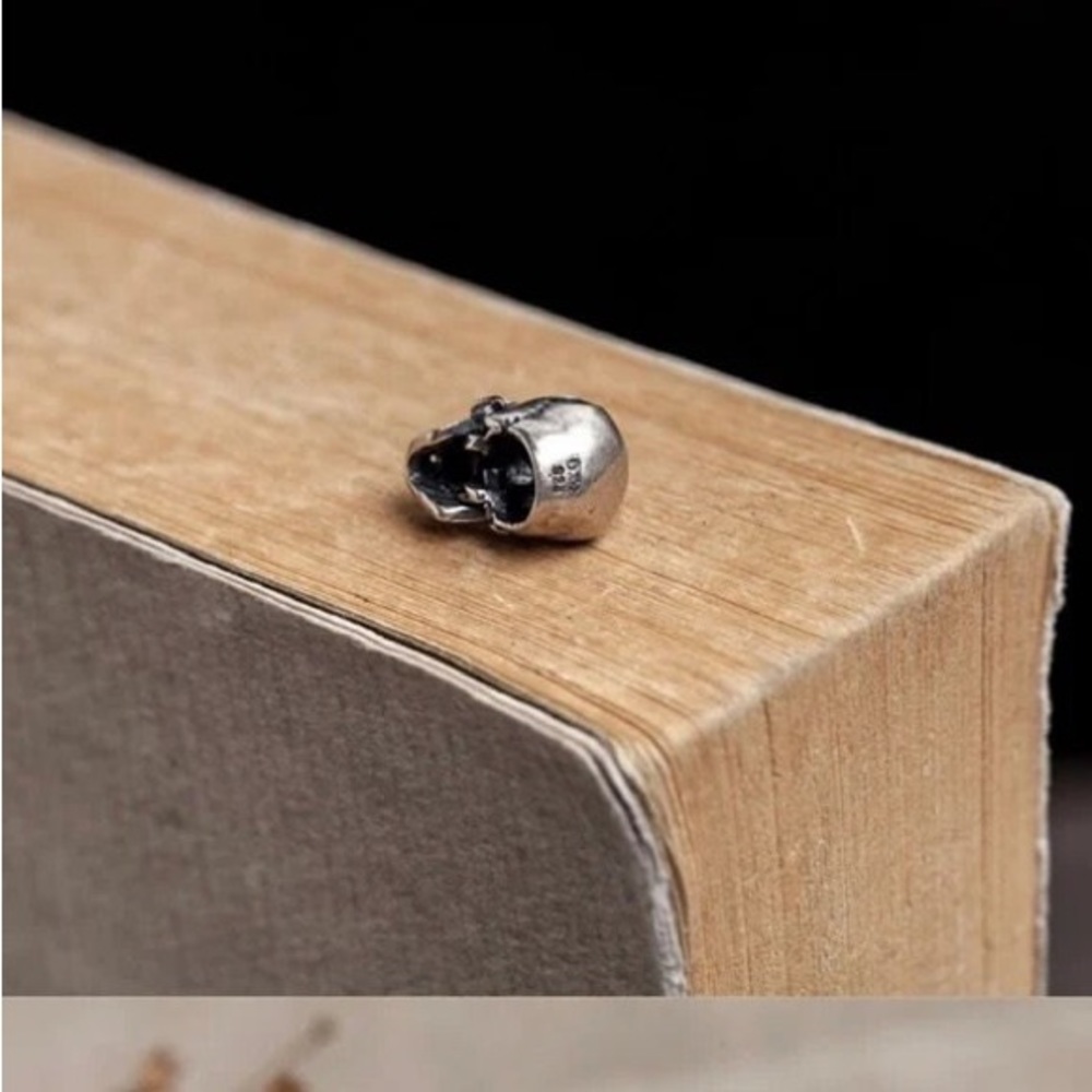Single accent skull ear nail hip hop punk men's earrings S925 silver earrings - Picture 3 of 7